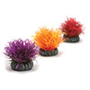 Multi Color Balls